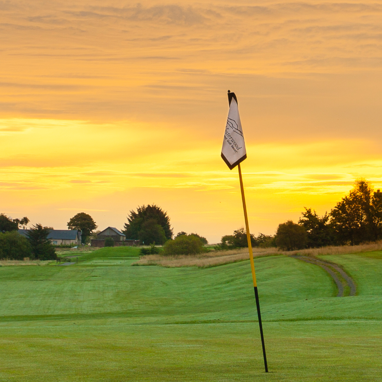 Course Blog 5050 5
