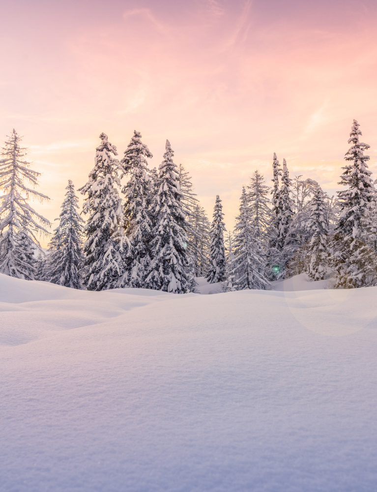 THINGS TO DO THIS WINTER