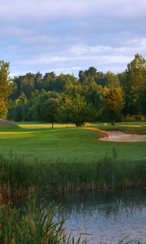 Mastering the Bump-and-Run 