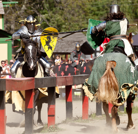 <strong>GRAND MEDIEVAL JOUST </strong>