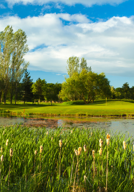 Different formats of golf