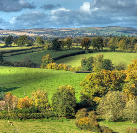<strong><span class="NormalTextRun SCXW242309099 BCX8">Much Wenlock, Shropshire</span> </strong>