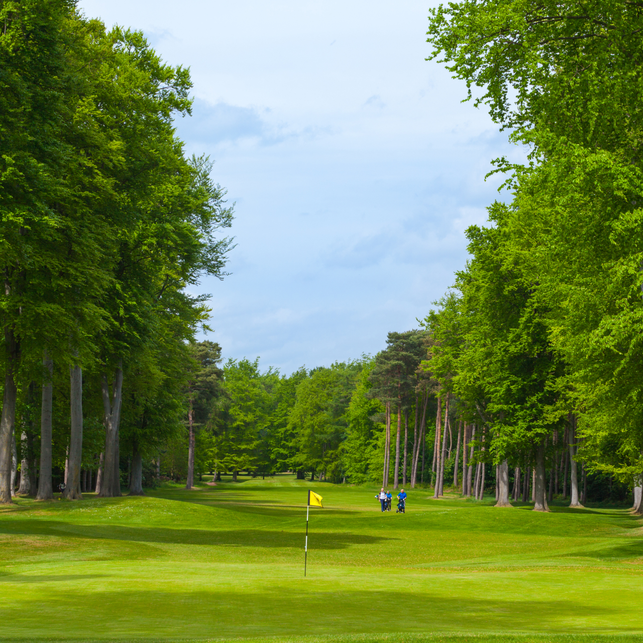 Course Blog 5050 1