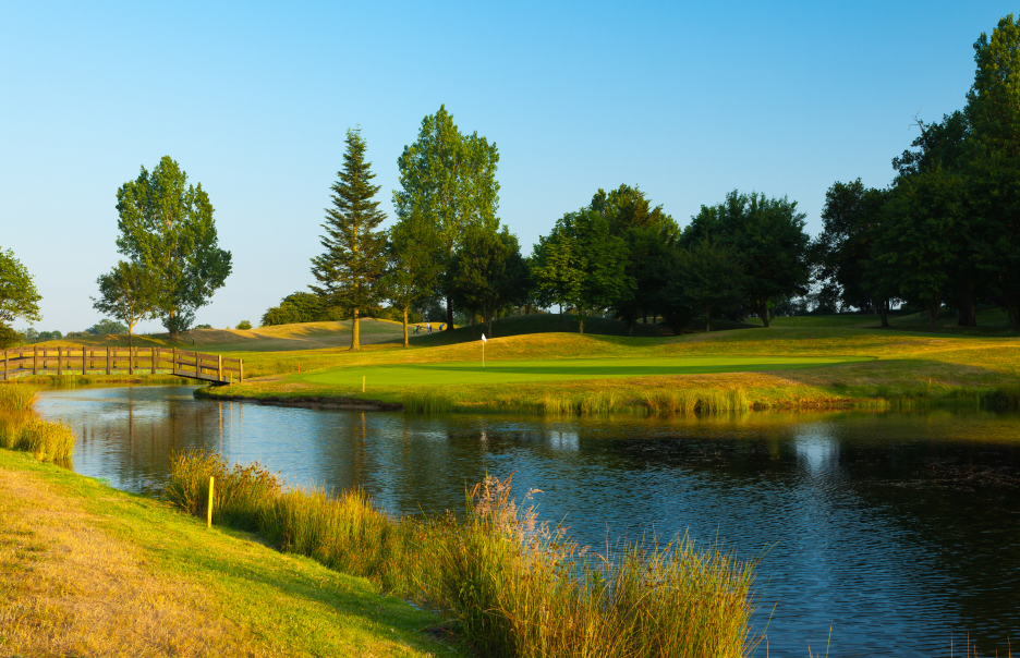 Course Blog Listing & Mobile Banner
