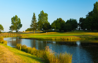 Course Blog Listing & Mobile Banner