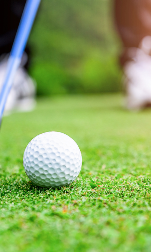 <p style="margin-bottom: .0001pt; line-height: normal;" class="MsoNormal">LOOKING AFTER YOUR GOLF CLUBS