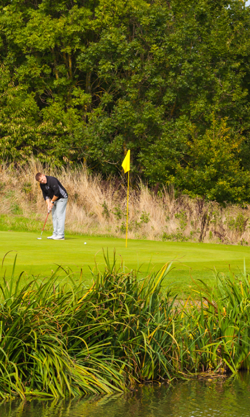 The Importance of Repairing Pitch Marks 