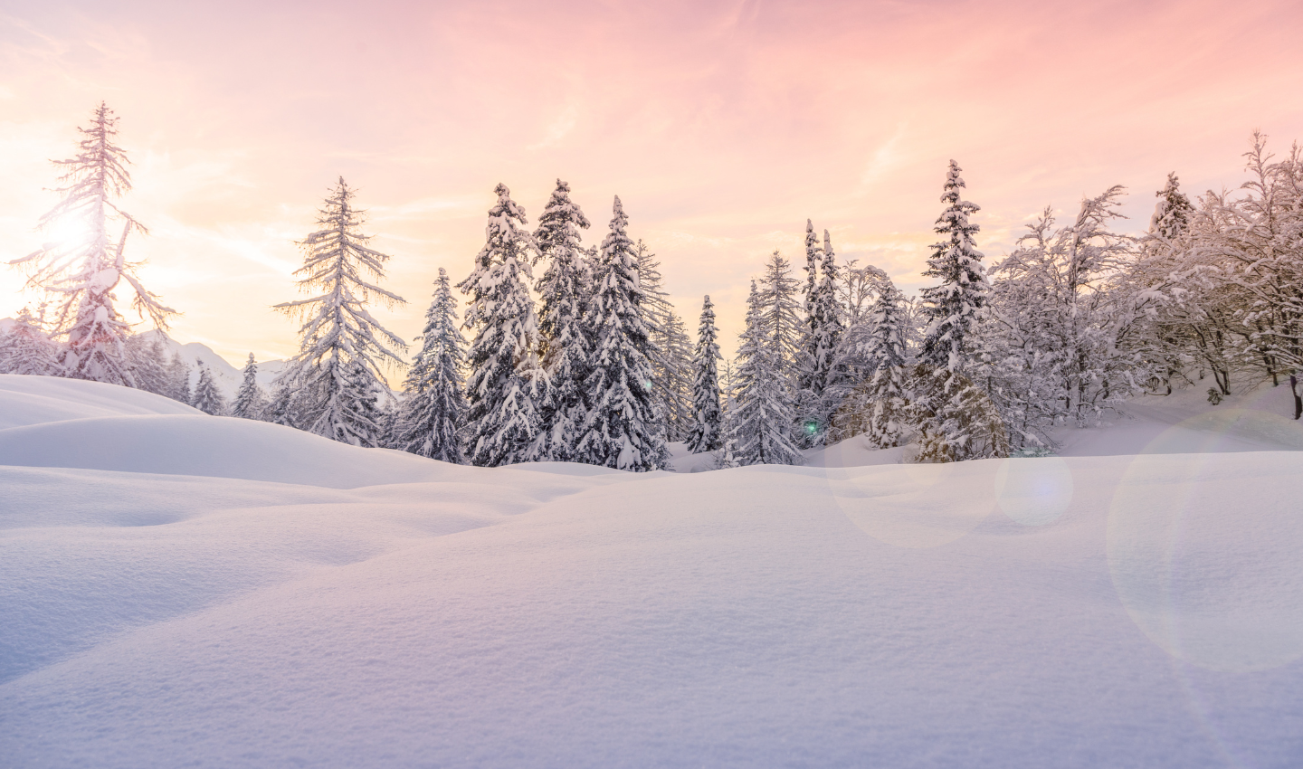 THINGS TO DO THIS WINTER