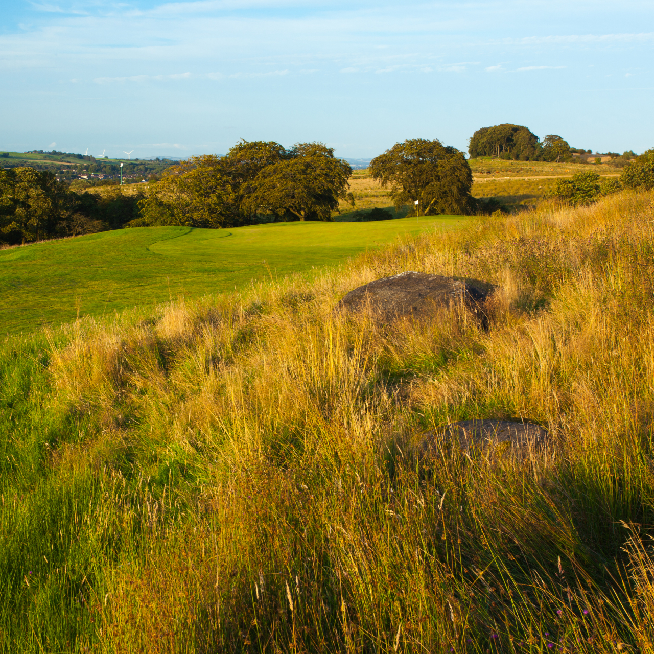 Course Blog 5050 4
