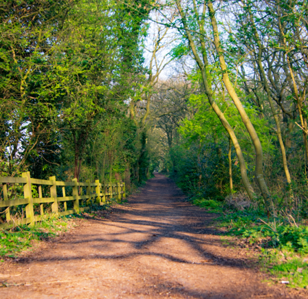 <p class="p1"><strong>Sandwell Valley Country Park</strong>