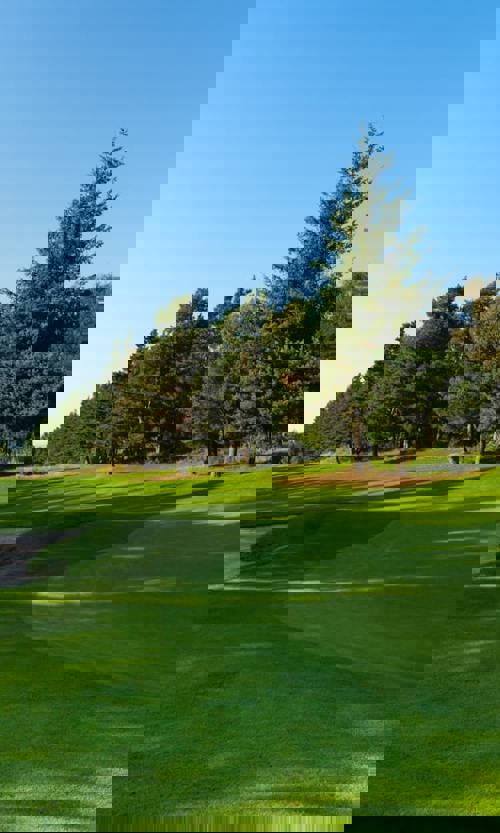 Course Spotlight: Slaley Hall 