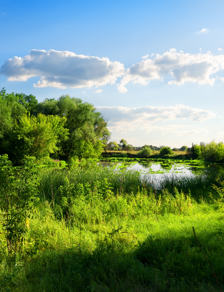 Free and fun family days out